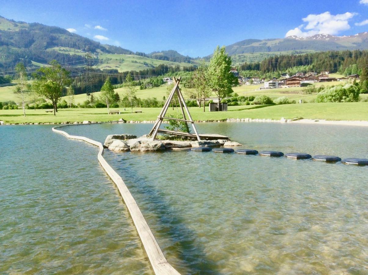 Апартаменты Kitzbuheler Alpen Penthouse Hollersbach Холлерсбах  Экстерьер фото